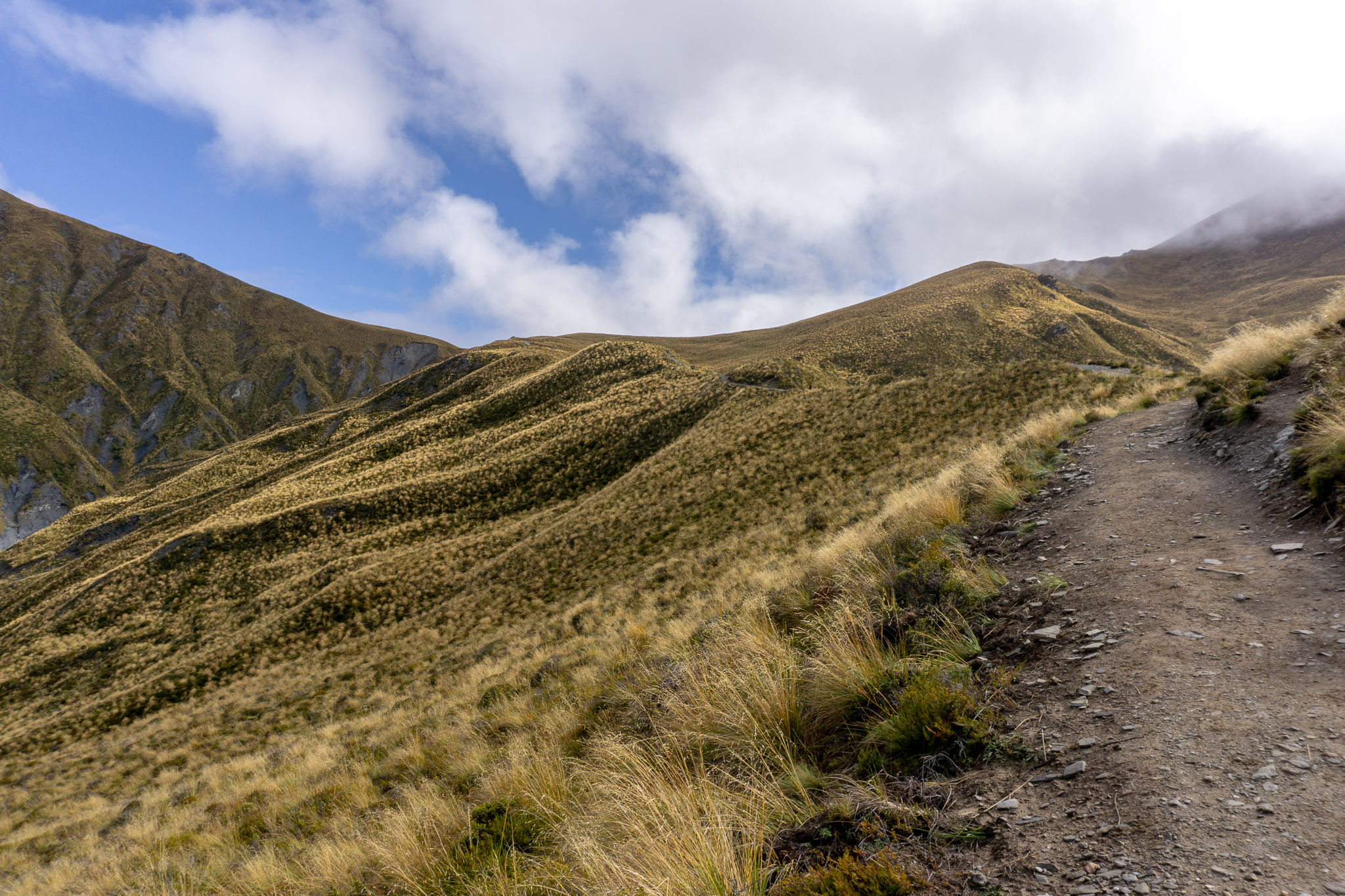 Photo of the Ben Lomond track looking towards the saddle