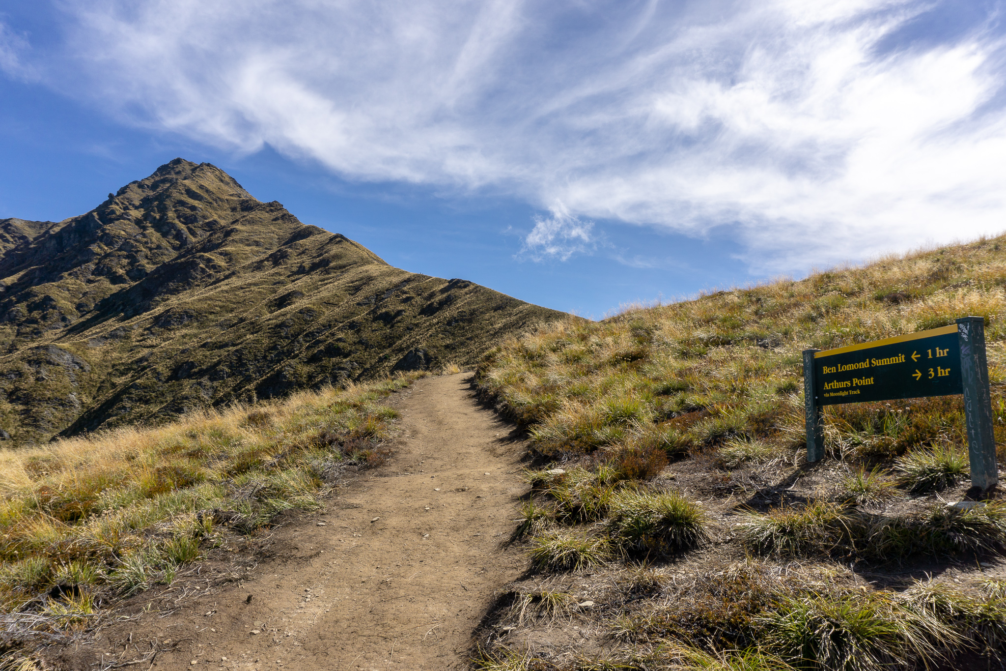 Photo of the Ben Lomond saddle with the summit in the background