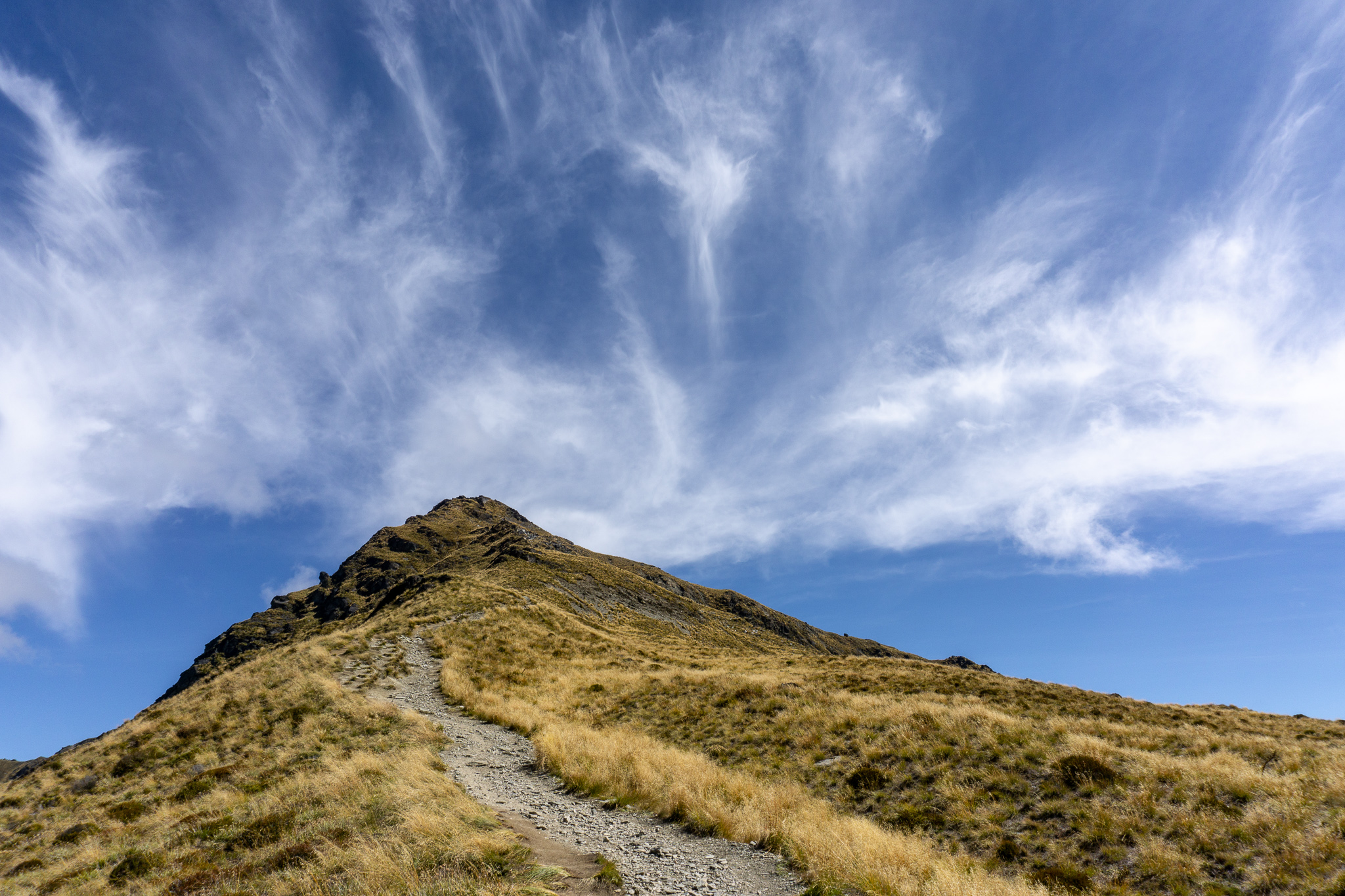 Photo of Ben Lomond track and summit from the saddle